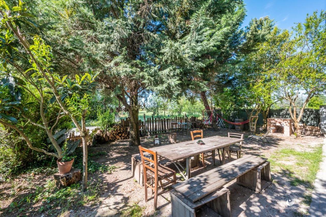 Selvatica50 B&B Nonantola Екстер'єр фото
