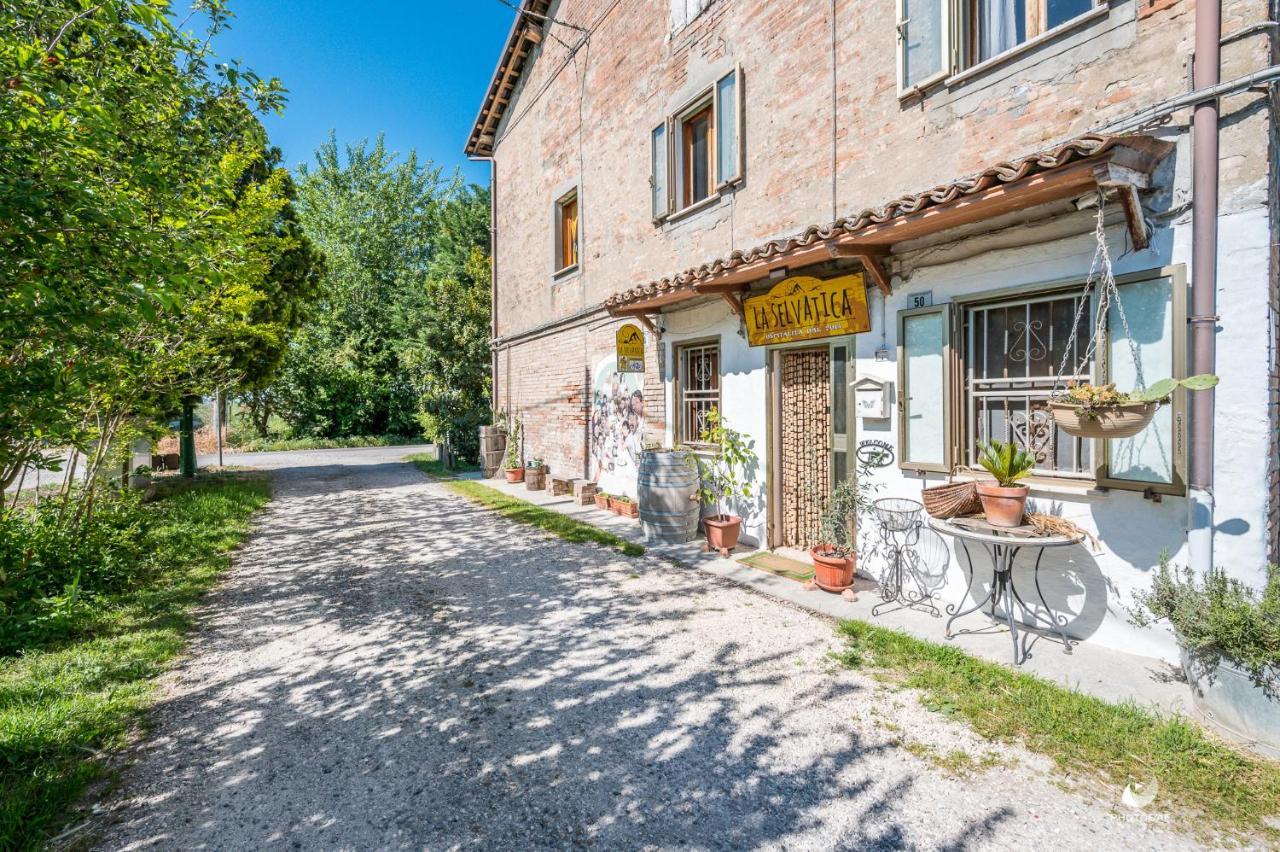 Selvatica50 B&B Nonantola Екстер'єр фото