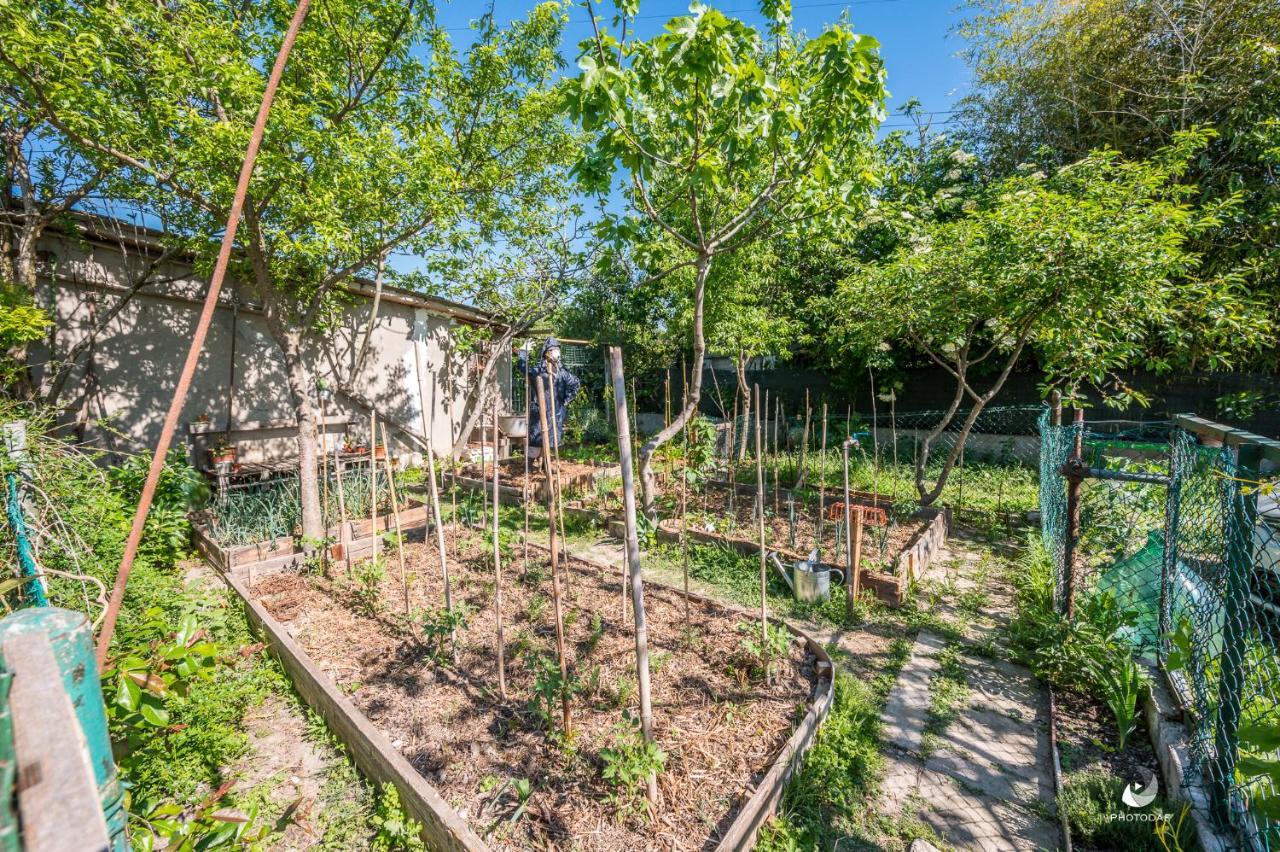 Selvatica50 B&B Nonantola Екстер'єр фото