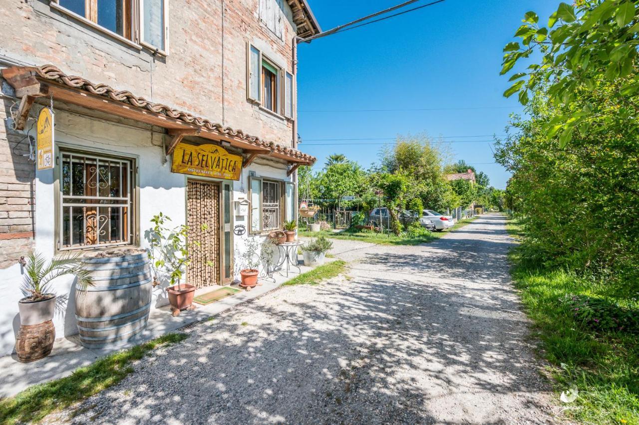 Selvatica50 B&B Nonantola Екстер'єр фото