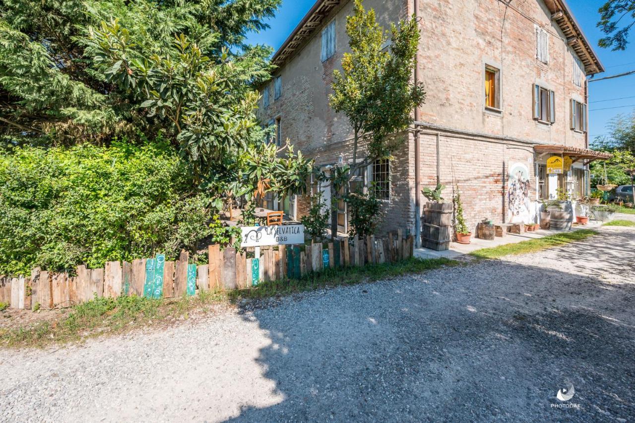 Selvatica50 B&B Nonantola Екстер'єр фото